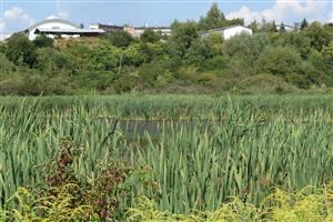 Celkový pohľad na TML