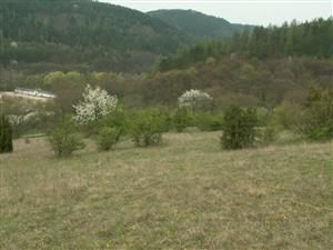 pohľad na TML_ErioCata_008 Višňové 