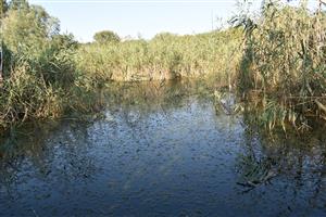 Celkový pohľad na monitorovanú lokalitu.