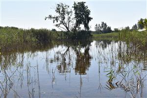 Celkový pohľad na mapovaný biotop.