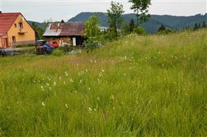 Celkový pohľad na slatinu