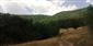 TML_RosaAlpi_006 -biotop