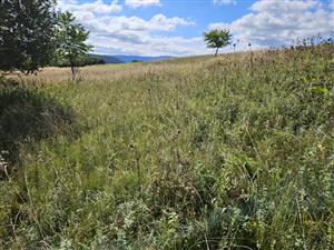 Celkový pohľad na TML, smerom na JZ.