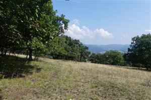 TML_StenEura_003_1