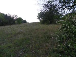 TML_StenEura_010_2