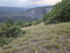 Pohľad na celkový charkater loklaity s prevládajúcim biotopom Tr5. V pozadí jeden s hrebeňov, kde je biotop Pi5 lepšie rozvinutý.