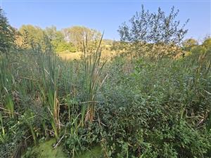 Celkový pohľad na TML.