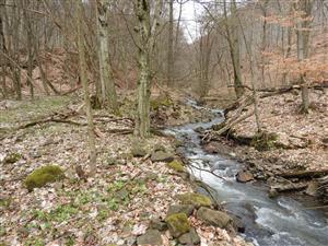  TML Bačkovská dolina