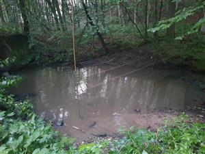 Pohľad na miesto odchytu