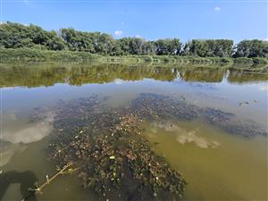 Pohľad na TML smerom na východ.