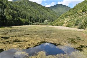 Celkový pohľad na monitorovanú lokalitu.