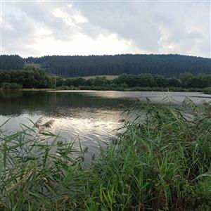 rybníky Levočské Lúky_ TML_CastFibe_060
