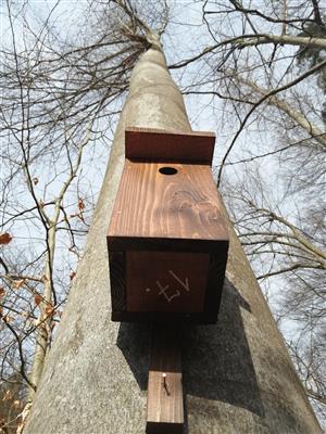 Búdka - lokalita Kováčová