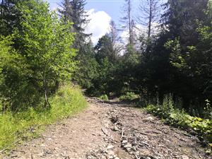 miesto záznamu druhov