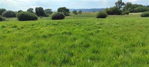 celkový pohľad na lokalitu