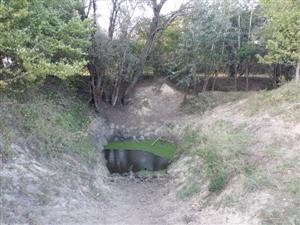 Pohľad na jedno z jazierok, TML Akomáň, biotop B.bombina, foto: 21.9.2023, J.Lengyel.