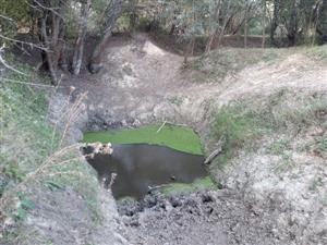 Pohľad na jedno z jazierok, TML Akomáň, biotop B.bombina, foto: 21.9.2023, J.Lengyel.