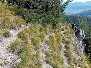 Pohľad na centrálnu časť ovplyvnenú turistikou