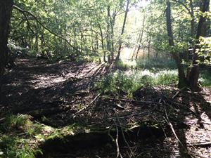 TML, celkový pohľad