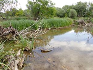 TML, interiér alúvia