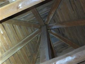 miesto odkiaľ sa ozával druh M. Myotis