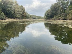 pohľad na monitorovaciu lokalitu