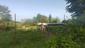 Mlynárka dlhochvostá (28.4.2023)