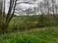 Mlynárka dlhochvostá (28.4.2023)