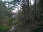 Mlynárka dlhochvostá (1.5.2023)
