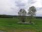 Mlynárka dlhochvostá (11.5.2023)