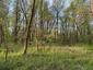 trasochvost biely (27.4.2023)