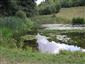 Prirodzené eutrofné a mezotrofné stojaté vody s vegetáciou plávajúcich a/alebo ponorených cievnatých rastlín typu Magnopotamion alebo Hydrocharition (29.8.2013)