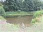Prirodzené eutrofné a mezotrofné stojaté vody s vegetáciou plávajúcich a/alebo ponorených cievnatých rastlín typu Magnopotamion alebo Hydrocharition (29.8.2013)