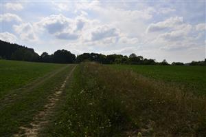 časť loklaity s pooraným okolím