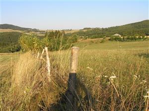 Na časti plochy v okolí sídla v J časti plochy je oplôtok