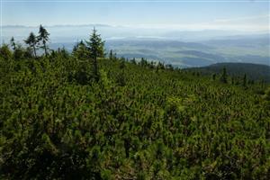 lokalita