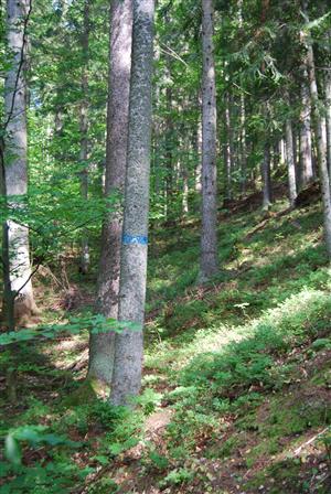 označenie lokality v teréne