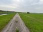 Sýkorka veľká ( bielolíca) (3.5.2023)