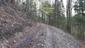 Orešnica perlavá (30.4.2023)