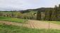 Vrana popolavá (13.5.2023)