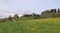 Kukučka obyčajná (jarabá) (13.5.2023)