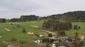 trasochvost biely (13.5.2023)