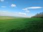 brhlík lesný (obyčajný) (30.4.2023)