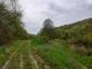 trasochvost biely (28.4.2023)