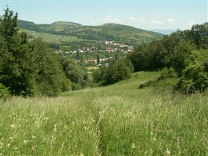 pohľad na TML_ColiMyrm_010 Moravské Lieskové 7.6.2014