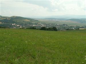 pohľad na TML_ColiMyrm_010 Moravské Lieskové 27.7.2014