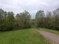 Žltochvost lesný ( hôrny) (26.4.2023)