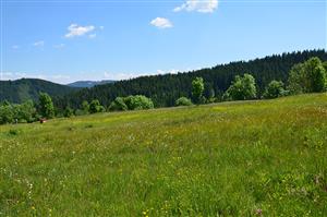 Celkový pohľad na slatinu