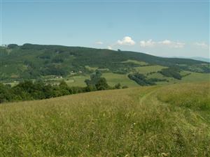 pohľad na TML_ColiMyrm_007 Grúň 7.6.2014