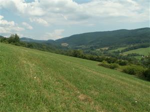 pohľad na TML_ColiMyrm_007 Grúň 26.7.2014